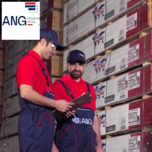 ang industrial group